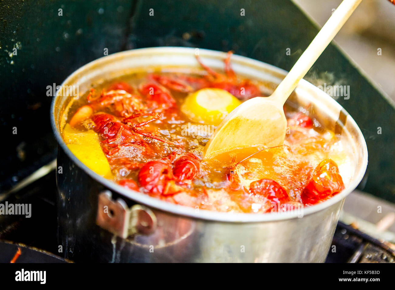 https://c8.alamy.com/comp/KF5B3D/large-pot-of-boiling-freshwater-cray-fish-or-crawdads-seasoned-with-KF5B3D.jpg