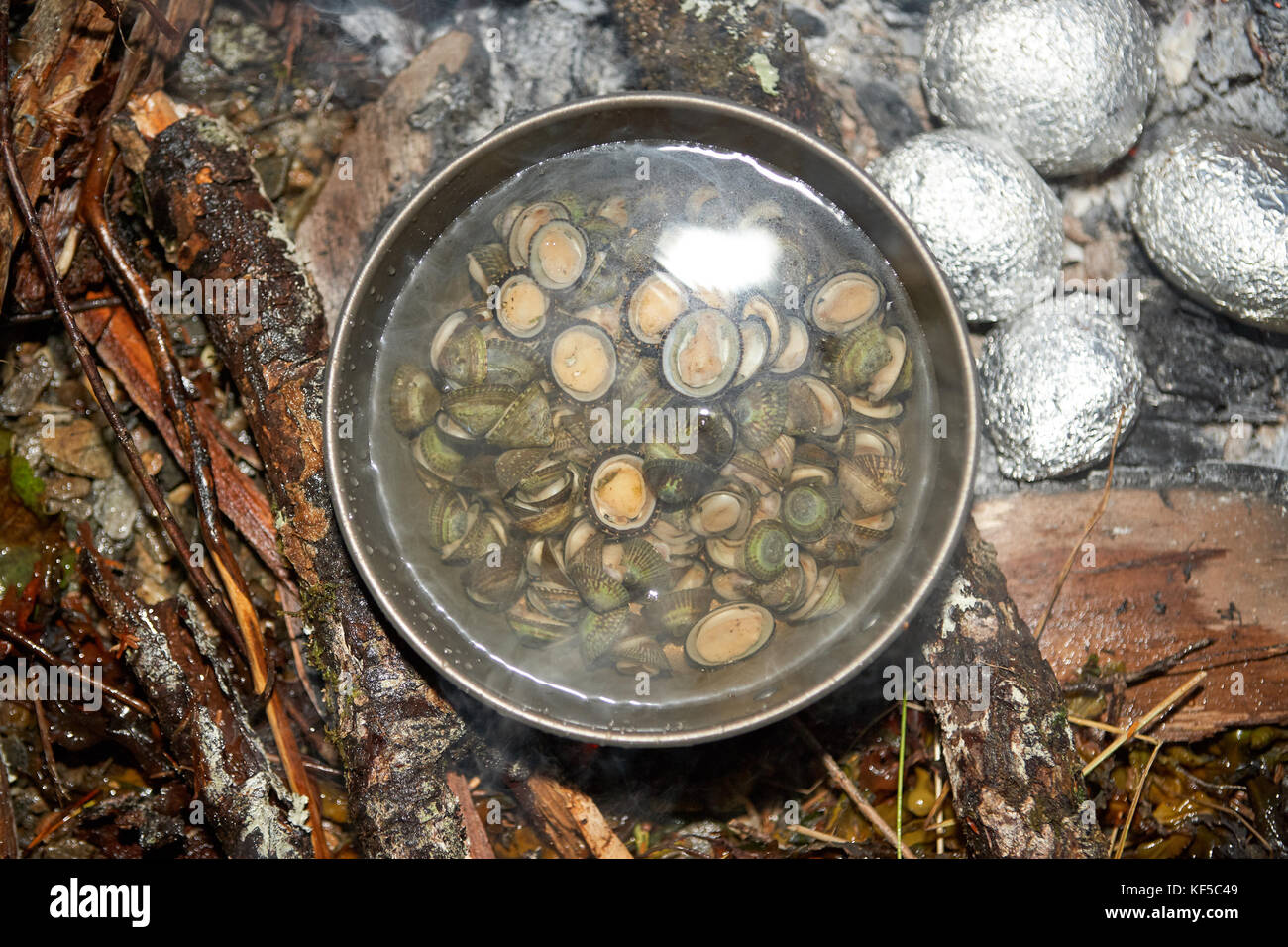 High angle view of clams boiling in pot at camp fire with baked