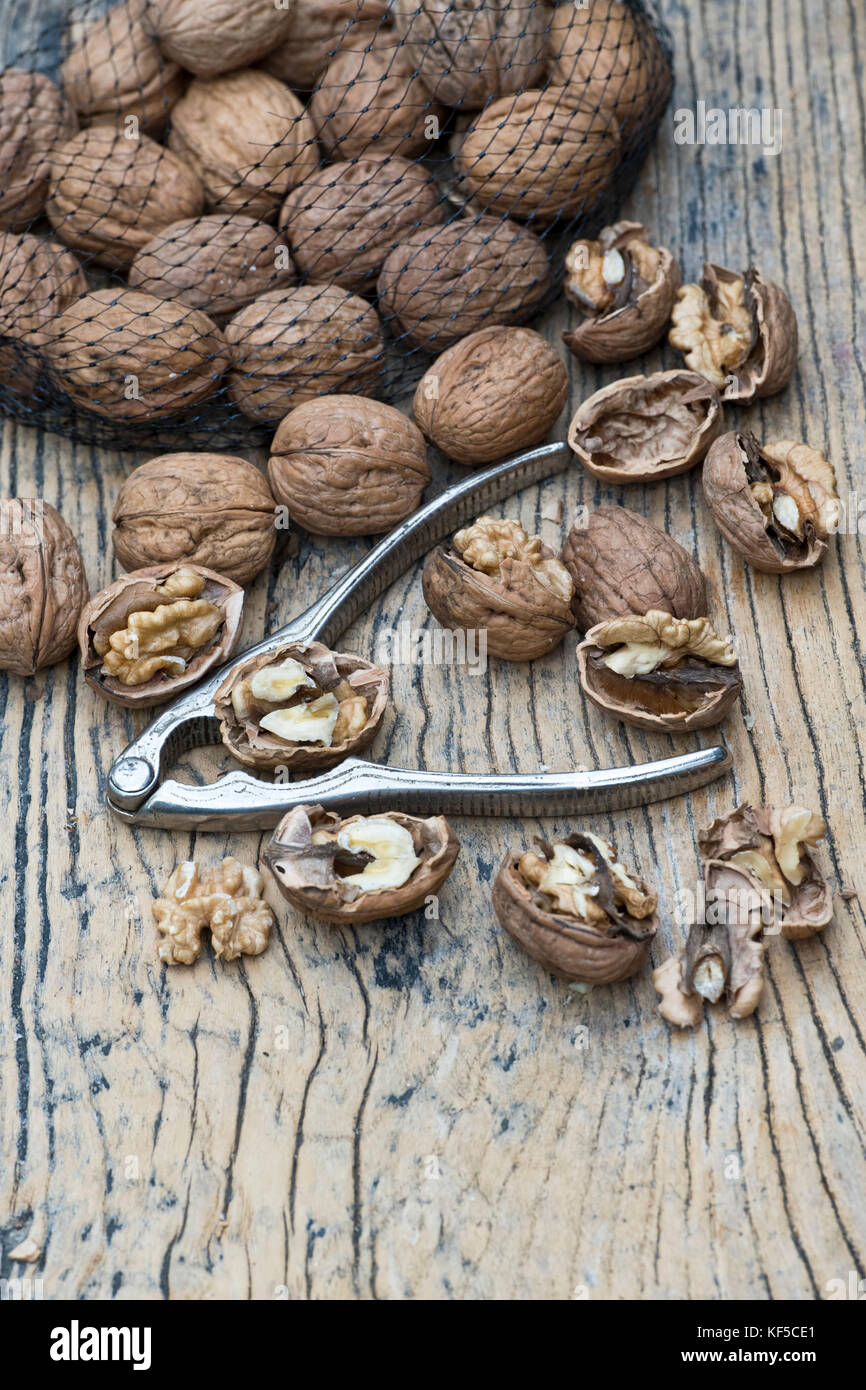 Walnut meats hires stock photography and images Alamy