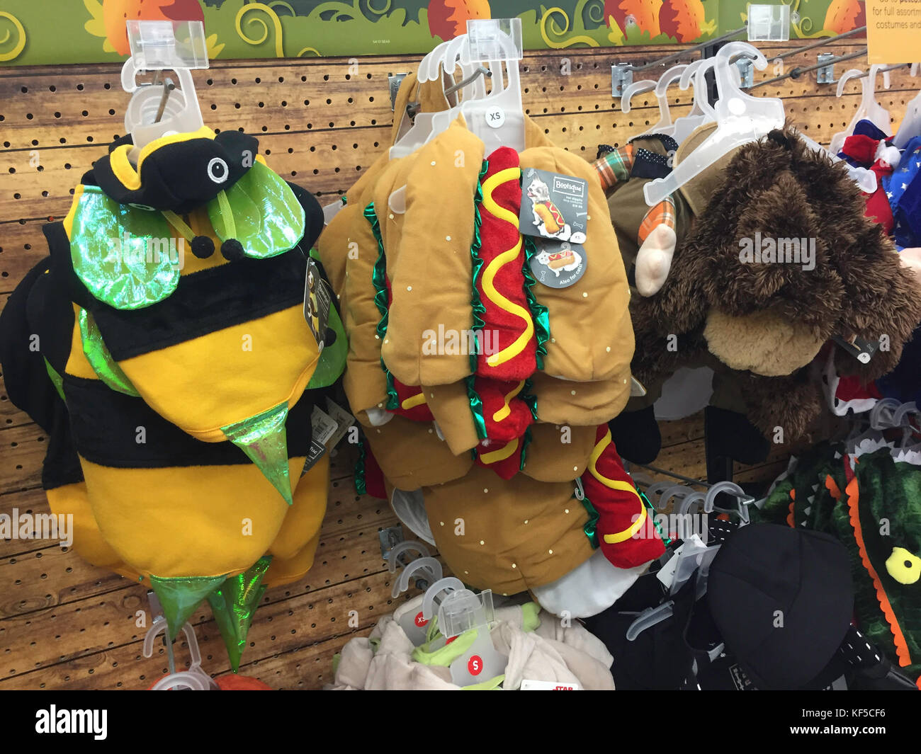 Petco halloween toys top