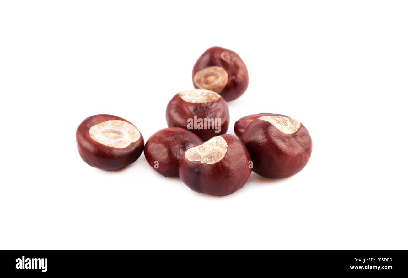 Group of chestnuts on white Stock Photo
