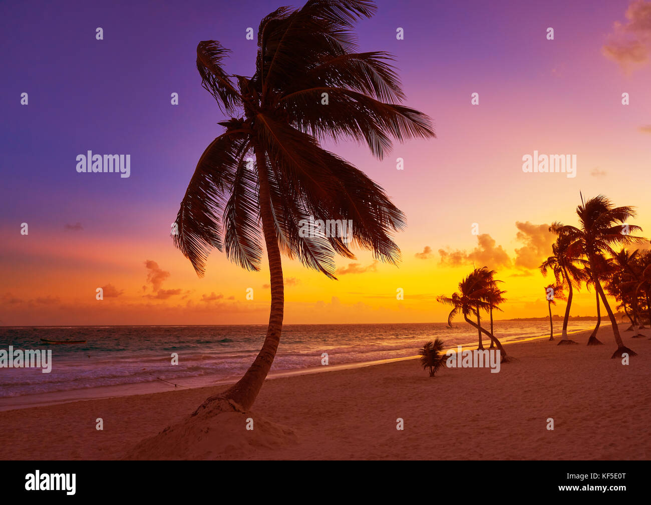 Tulum beach sunset palm tree in Riviera Maya at Mayan Mexico Stock ...