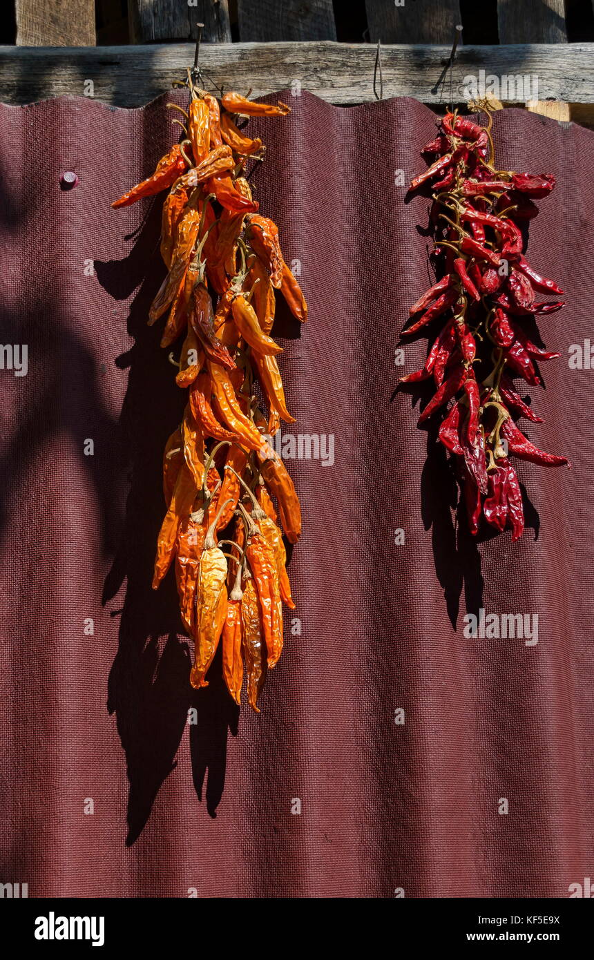 Beautiful enticing string dry ripe råd and yellow chilli pepper suspended on the wall, Zavet town, Bulgaria Stock Photo