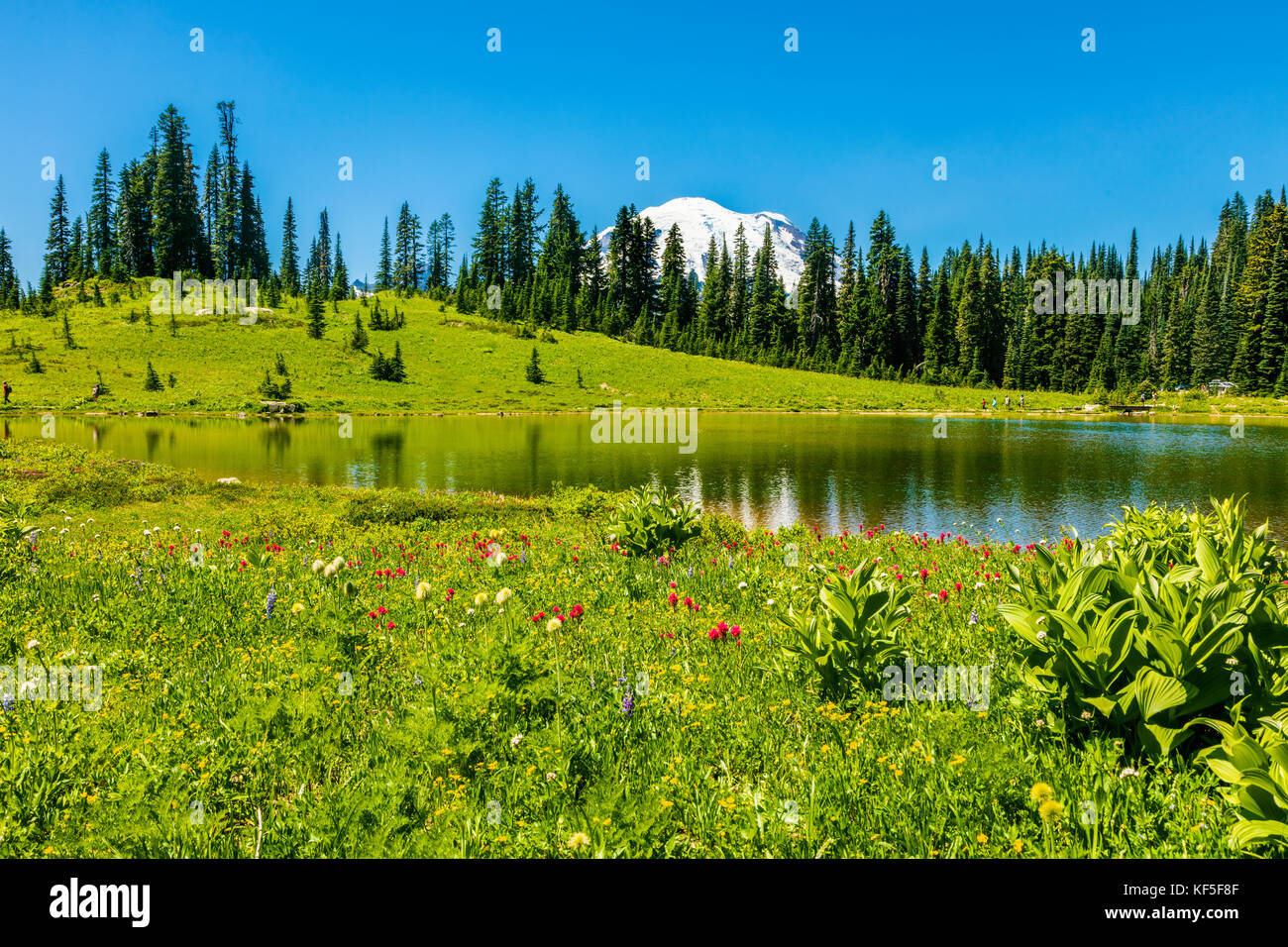 Tipsoo Lake on the Mather Memorial Parkway in Mount Rainier National Park Washington in the Umited States Stock Photo