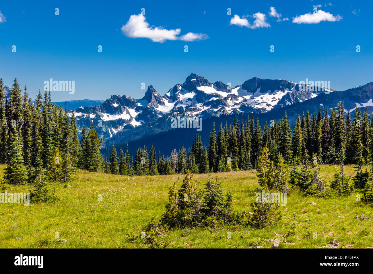 Sunrise area of Mount Rainier National Park at an elevation of 6,400 feet is the highest point