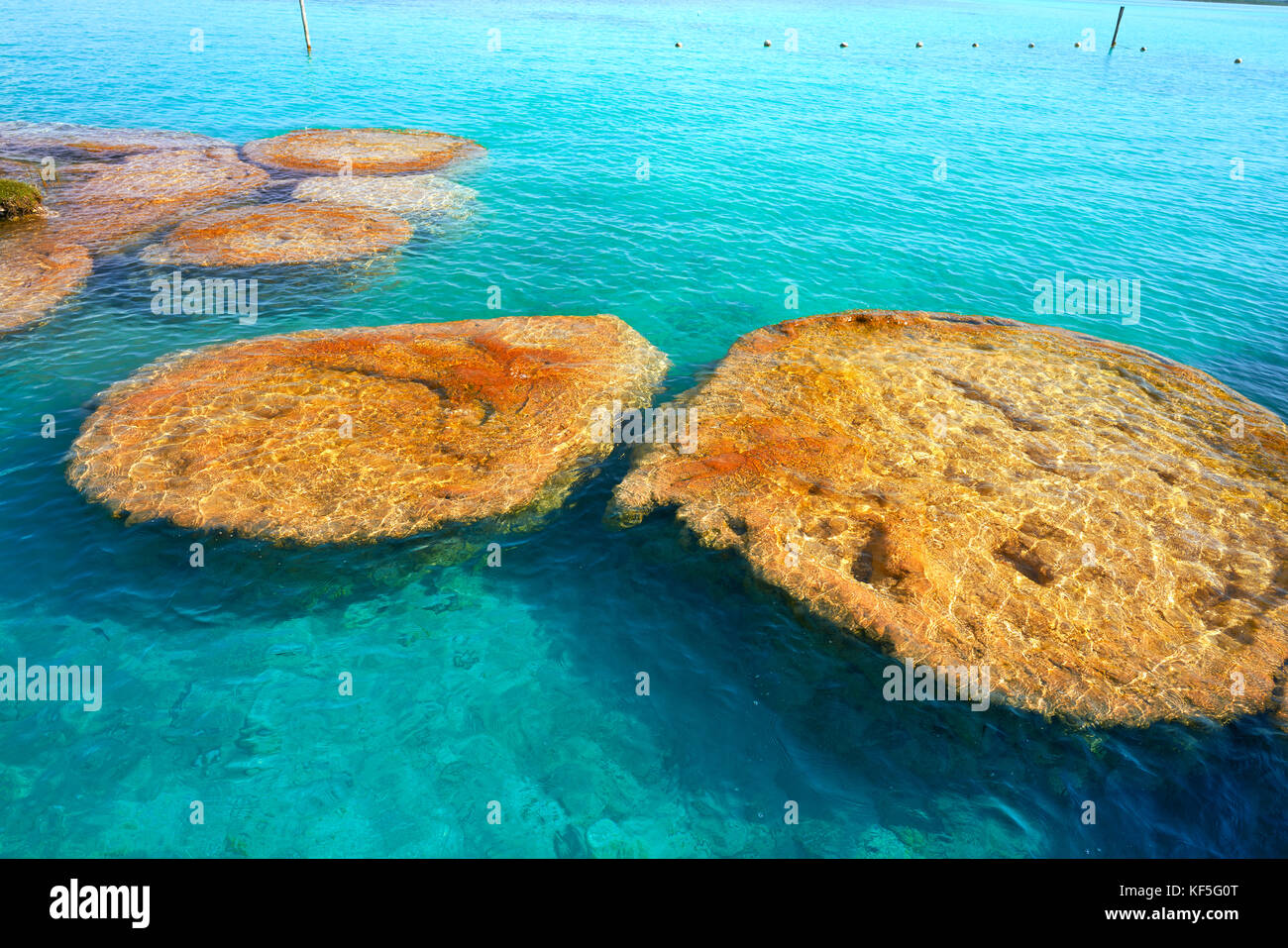 Estromatolitos Stromatolites In Bacalar Lagoon Of Mexico In Quintana Roo Stock Photo Alamy Estromatolitos Stromatolites In Bacalar Lagoon Of Mexico In Quintana Roo Stock Photo Alamy