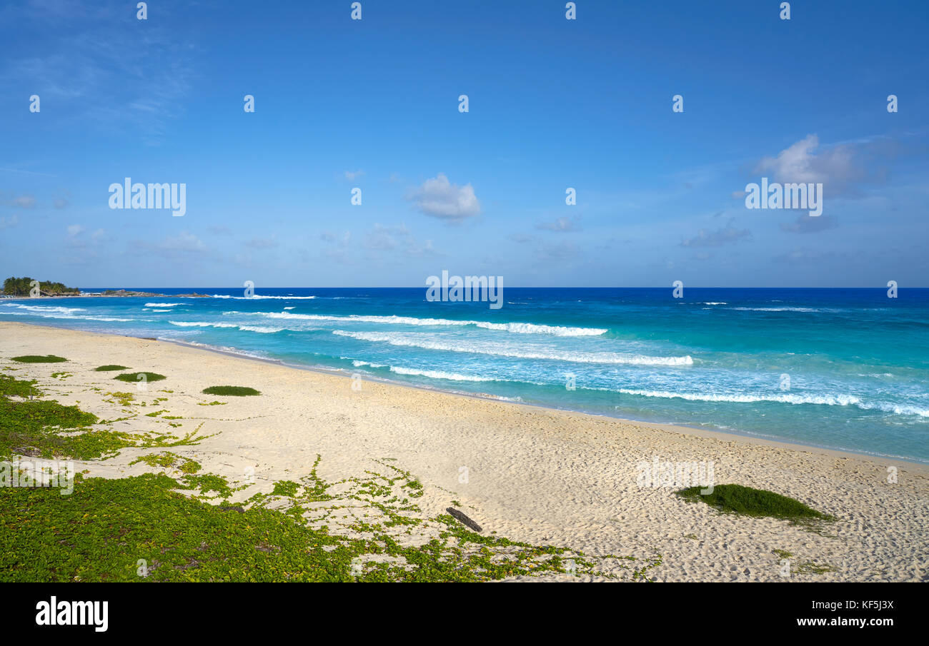 Cozumel island San Martin beach in Riviera Maya of Mayan Mexico Stock