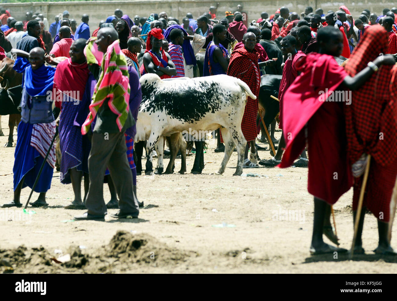Maasai tribesmen in a colorful cattle and fresh produce market in Northern Tanzania. Stock Photo