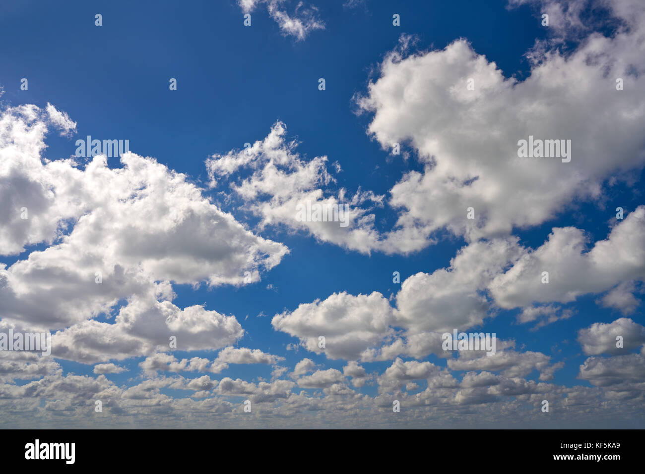 Blue summer sky white cumulus clouds background Stock Photo - Alamy