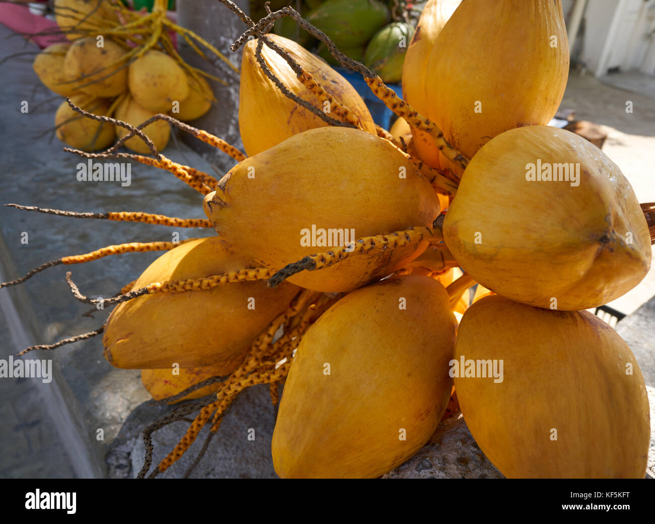 Coconuts for drinking water in Mexico Caribbean Stock Photo