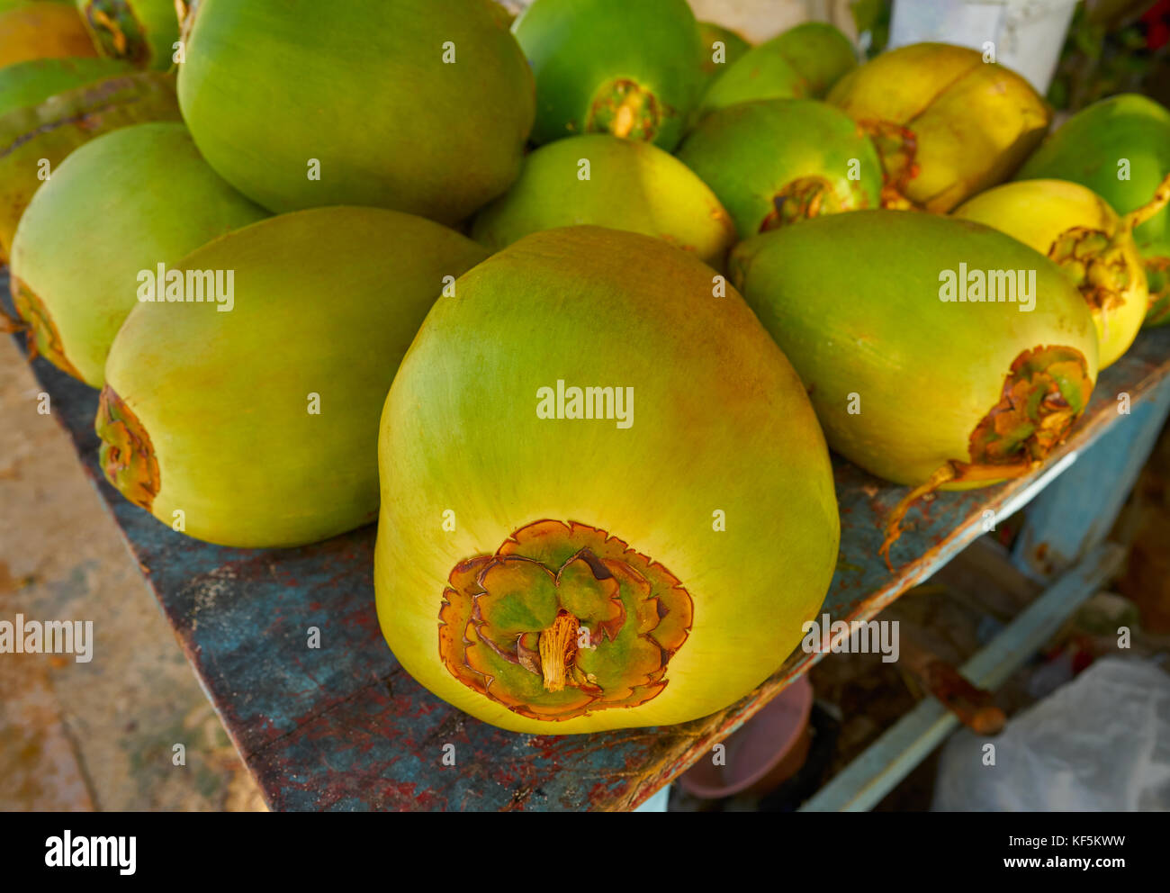 caribbean coconut fruits in Mayan Riviera of Mexico Stock Photo Alamy