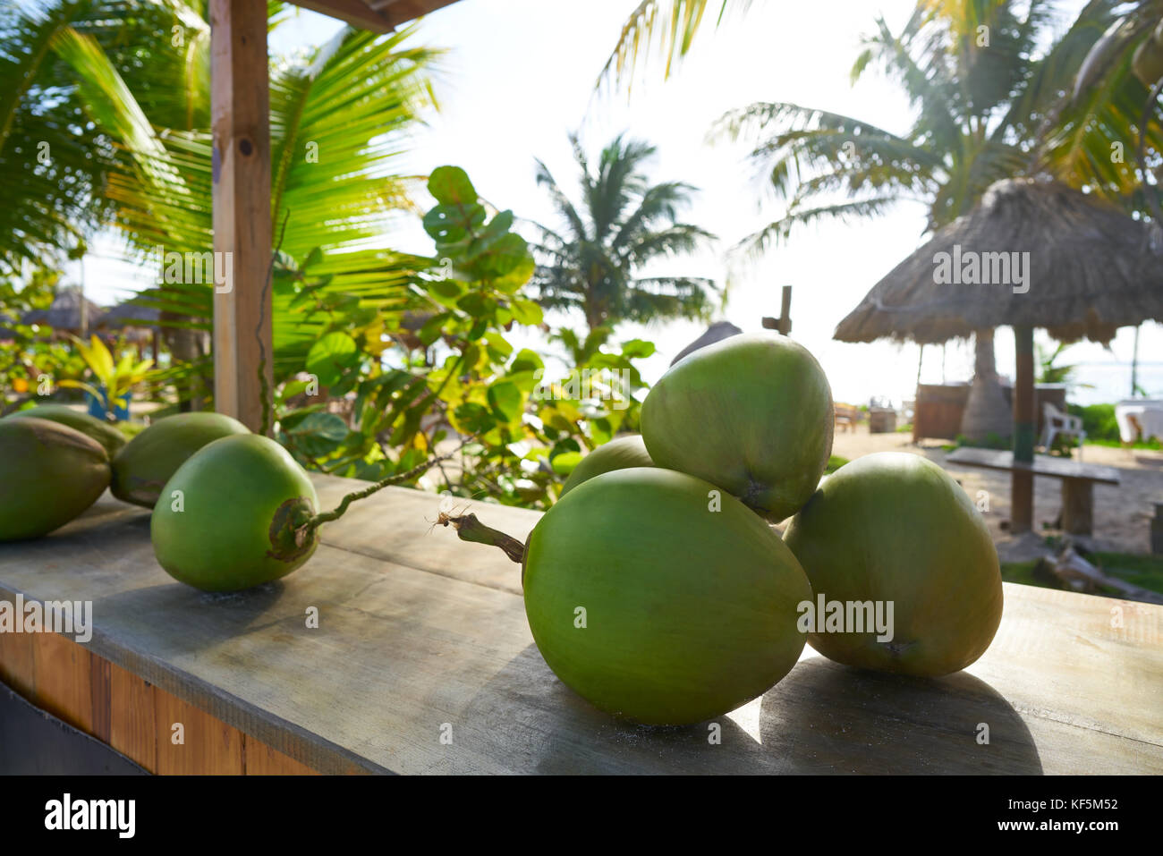 Mayan Riviera coconuts for drink in Caribbean Mexico Stock Photo
