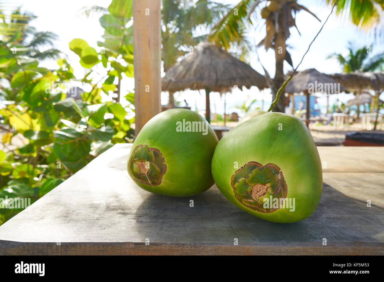 Mayan Riviera coconuts for drink in Caribbean Mexico Stock Photo