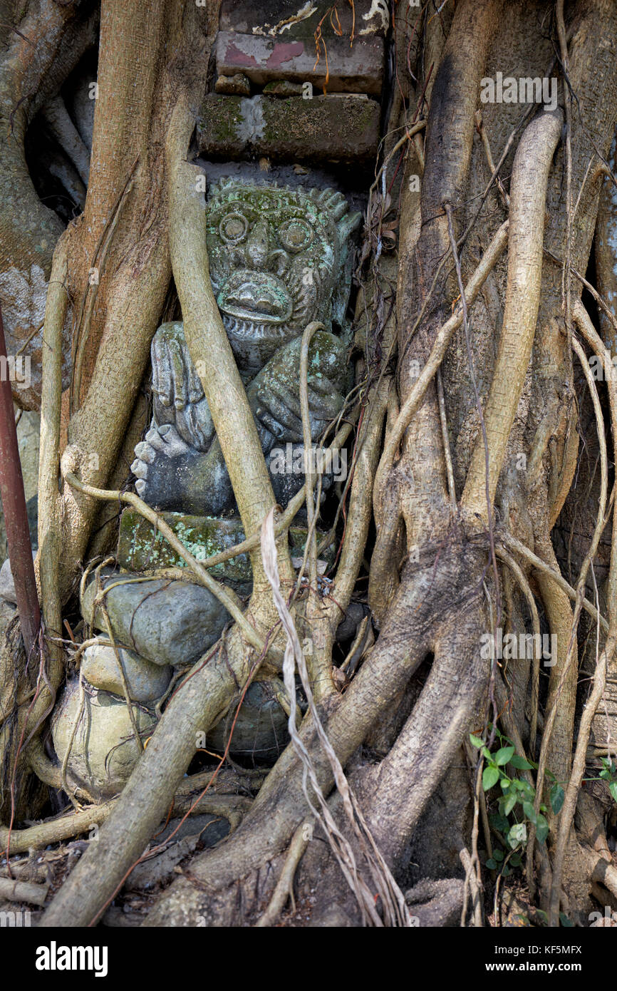 Statue with overgrowing roots of a Bodhi tree (Ficus religiosa). Agung Rai Museum of Art (ARMA). Ubud, Bali, Indonesia. Stock Photo