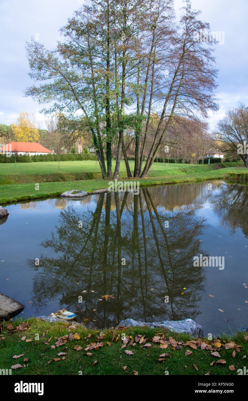reflection of trees in autumn pond Stock Photo - Alamy