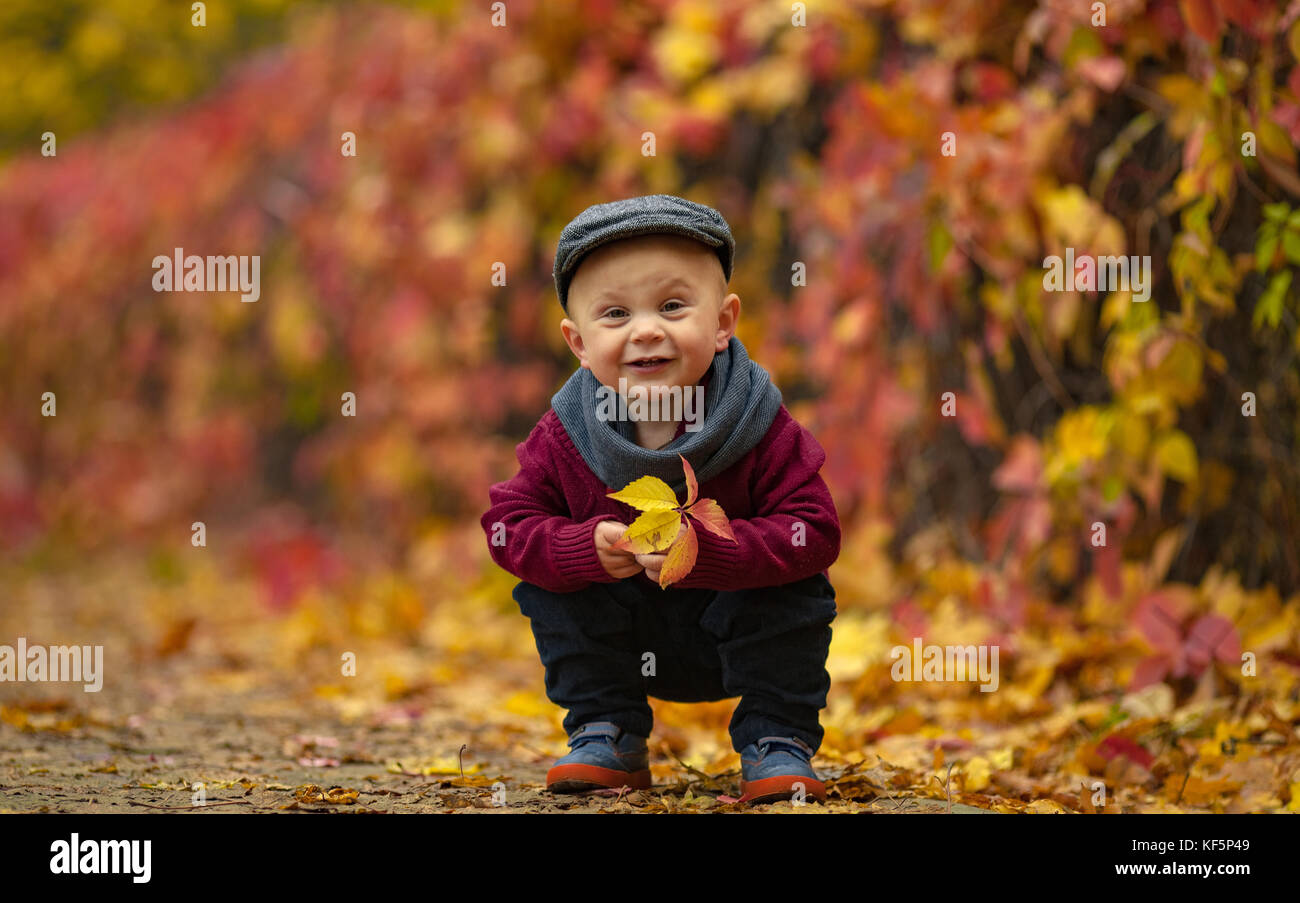Little happy child boy wearing hat, scarf and sweater sits in park and holds yellow leaf in his hands on colorful autumn background. Stock Photo
