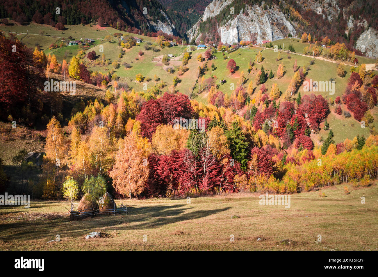 Autumn landscape. Colorful fall scene in a mountain village Stock Photo ...