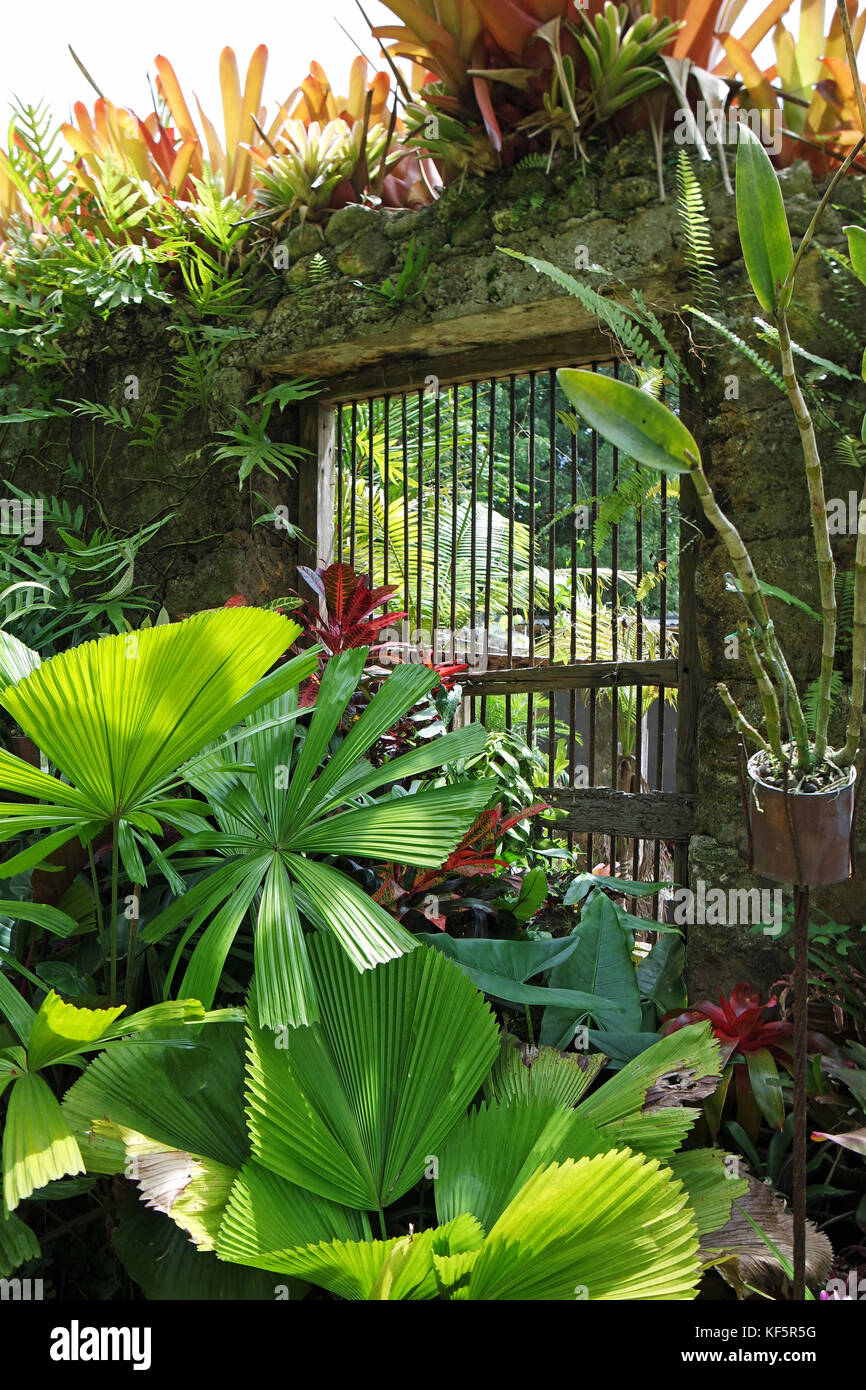 Hunte's Gardens Barbados Stock Photo Alamy