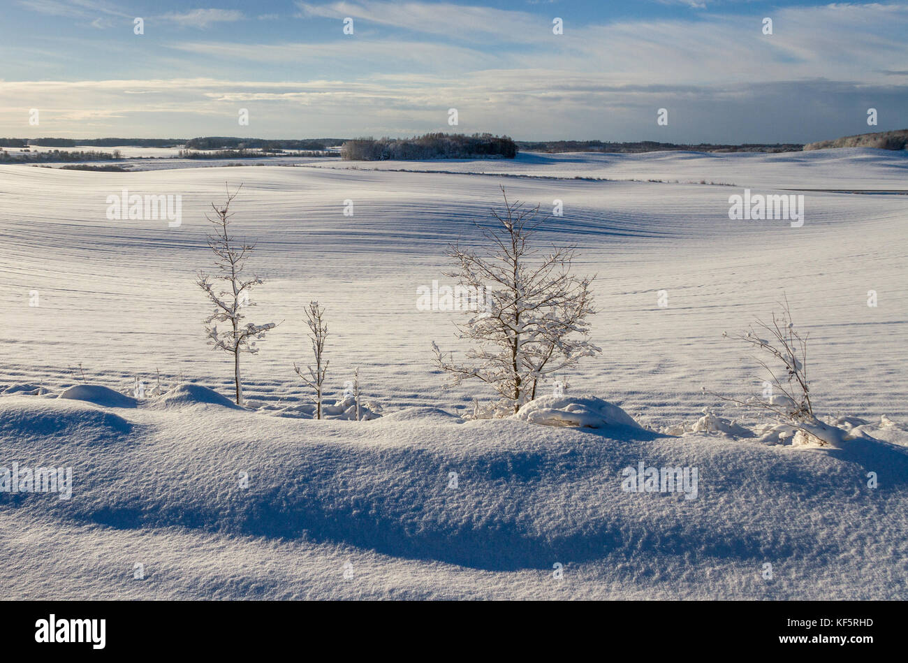 Countryside landscape in winter Stock Photo - Alamy
