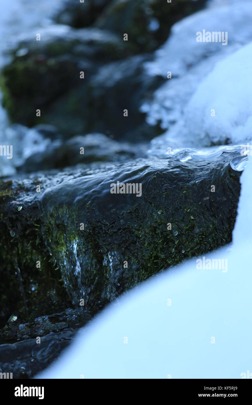 Green Moss Stream In The Snow Stock Photo - Alamy
