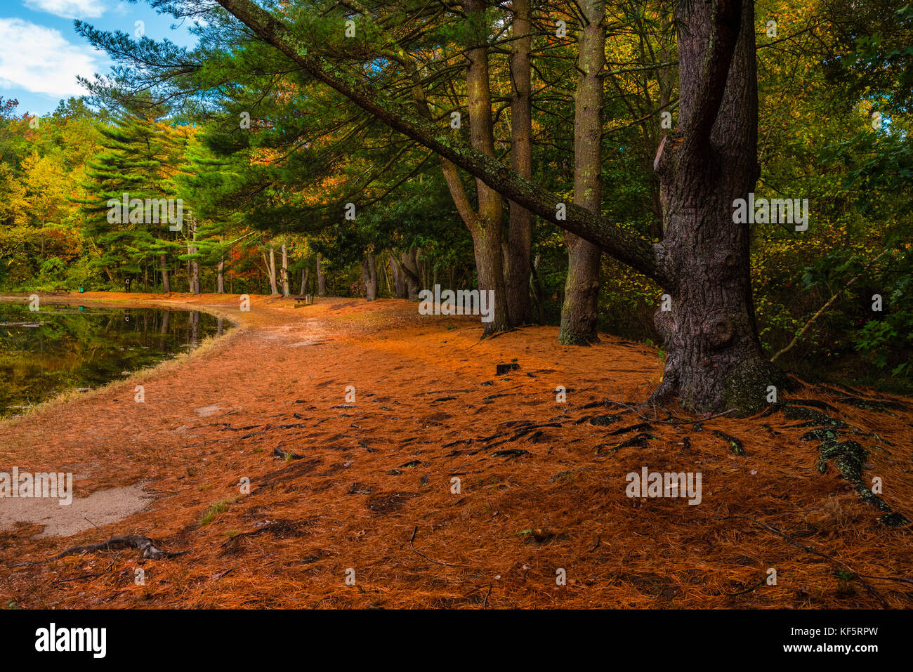 A path around the lake hi-res stock photography and images - Alamy