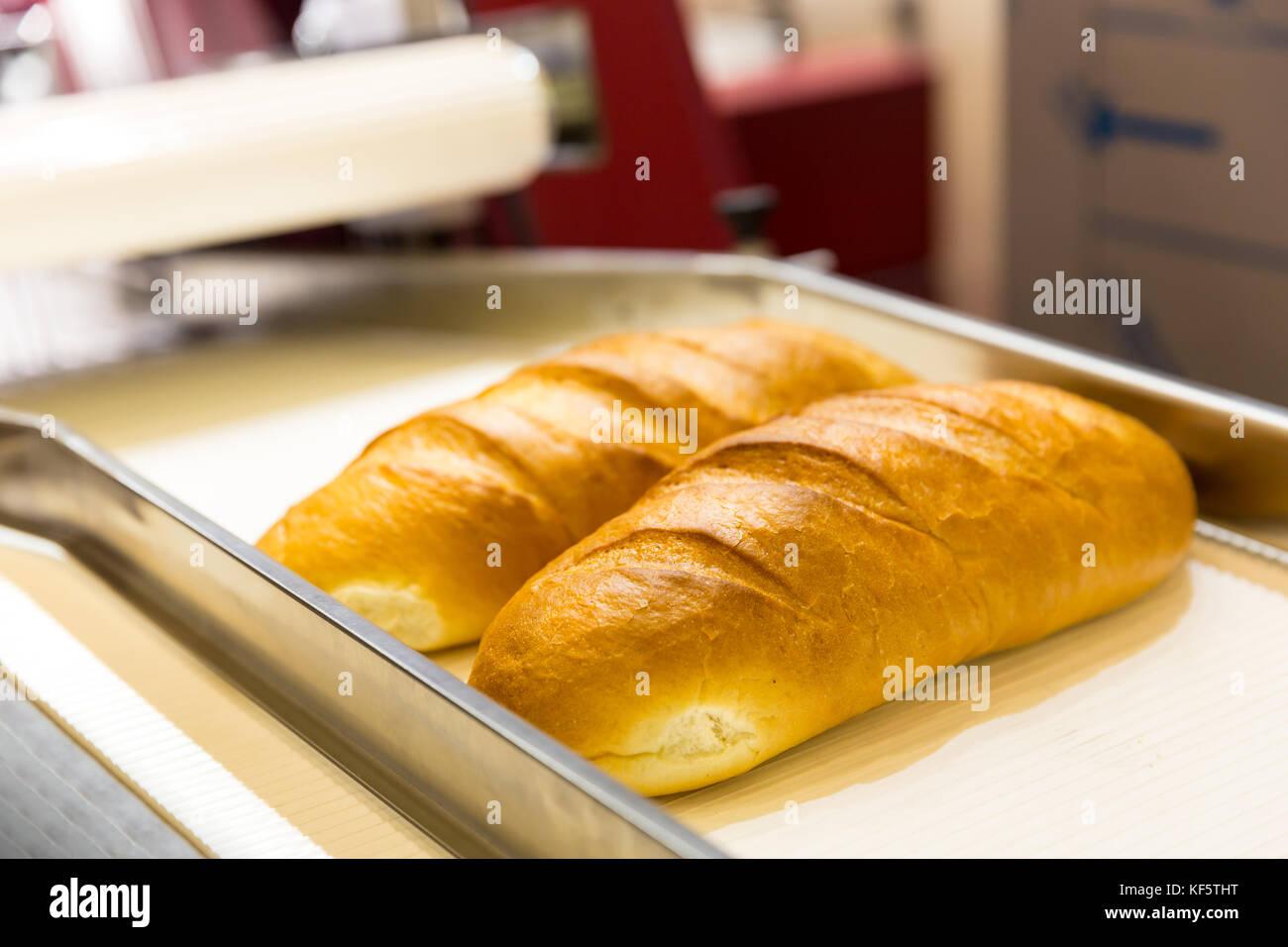 Professional bakery equipment, bread conveyor Stock Photo Alamy