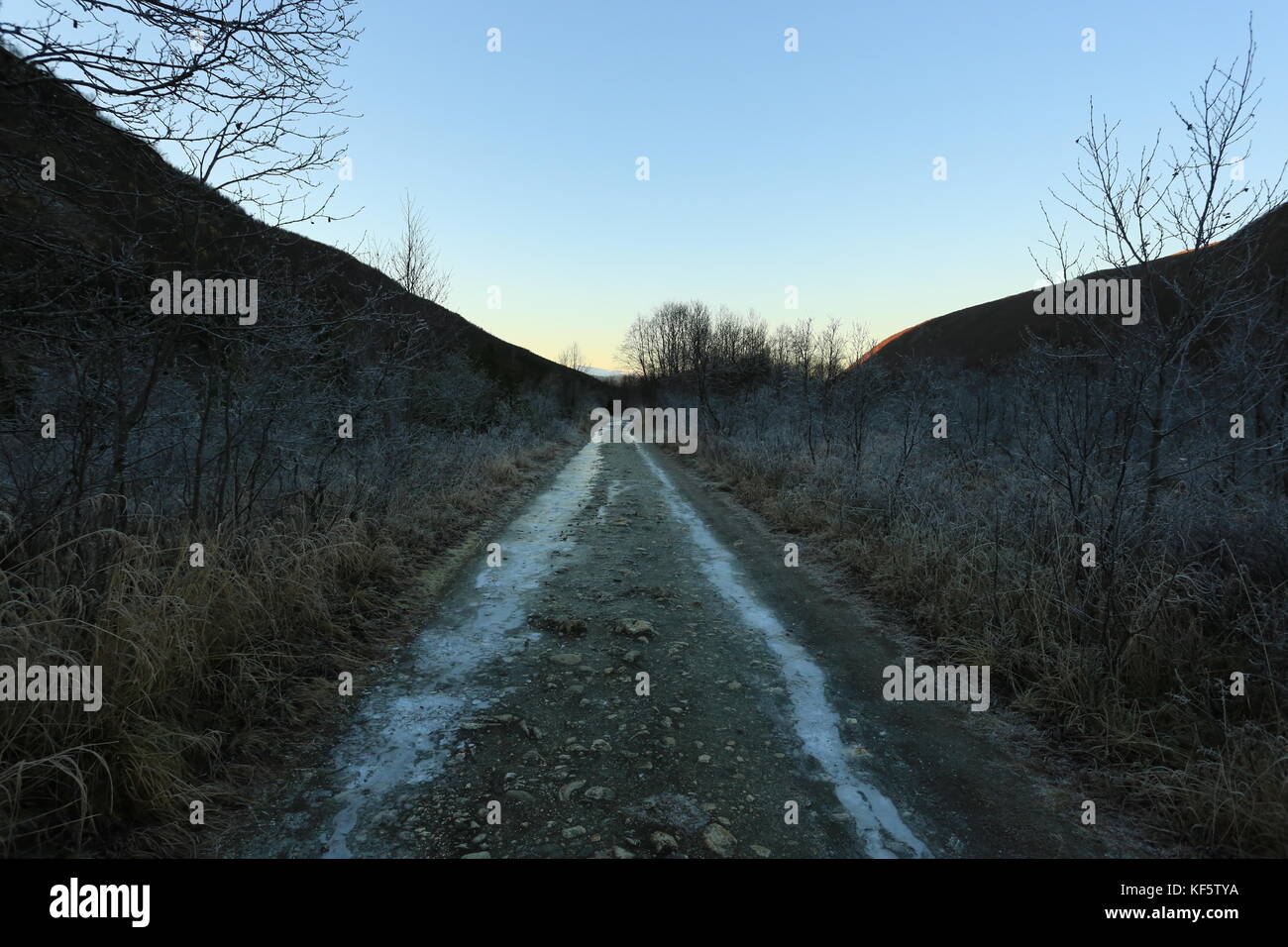 Frozen Icy Drit Road Going Trough The Forest Stock Photo