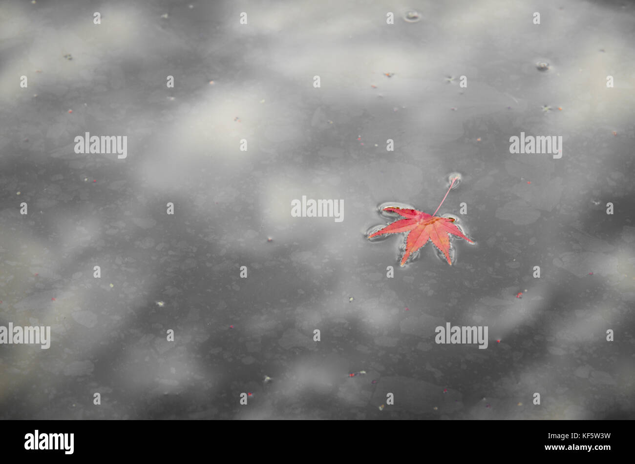 落葉の道三/Dosan the Falling Leaf　日本語版　Foil Foil】《落葉の道三/Dosan the Falling Leaf》[CHK] 緑R | 日本