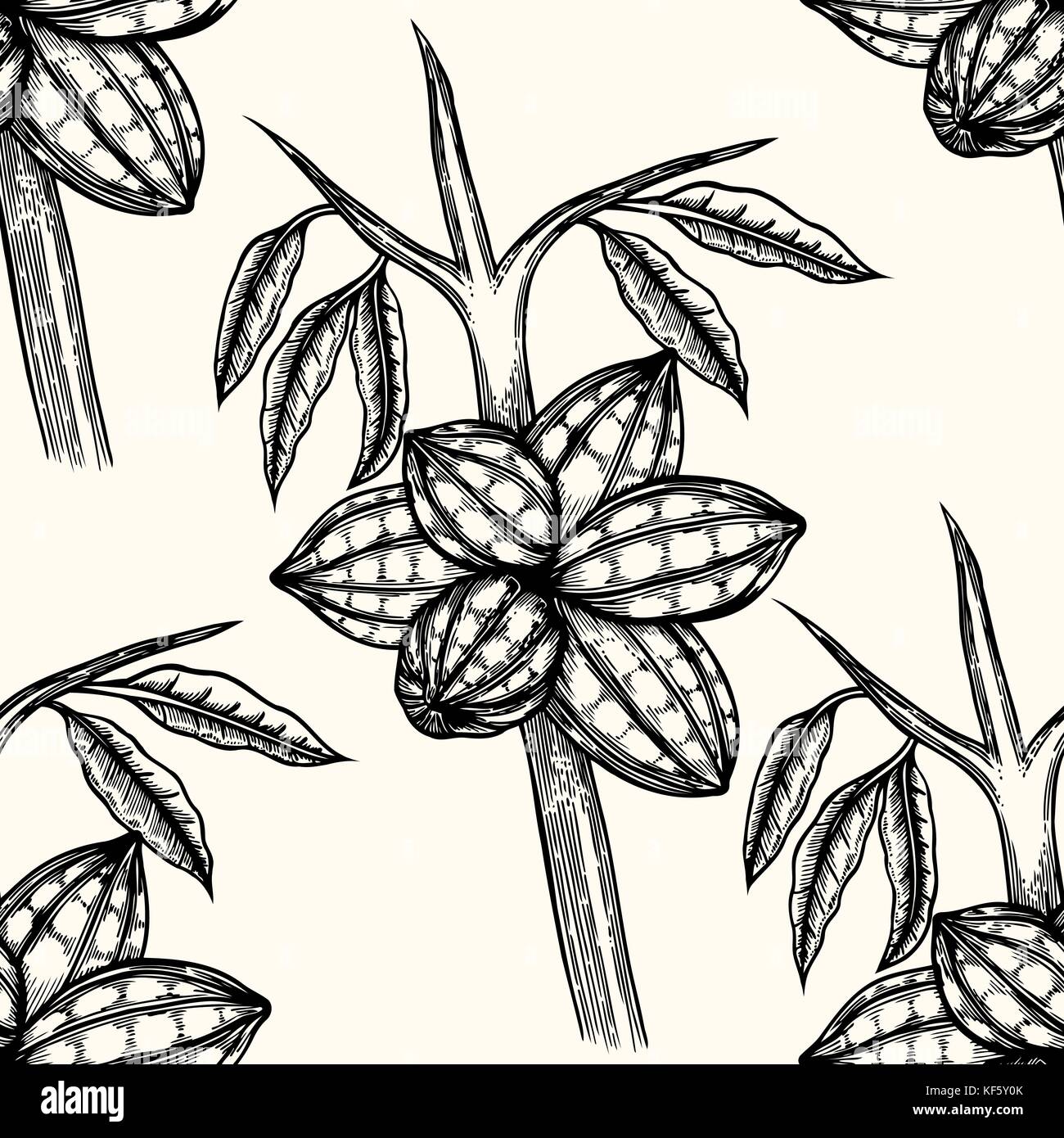 Vector seamless pattern of cocoa beans and leaves. Hand drawn engraved ...