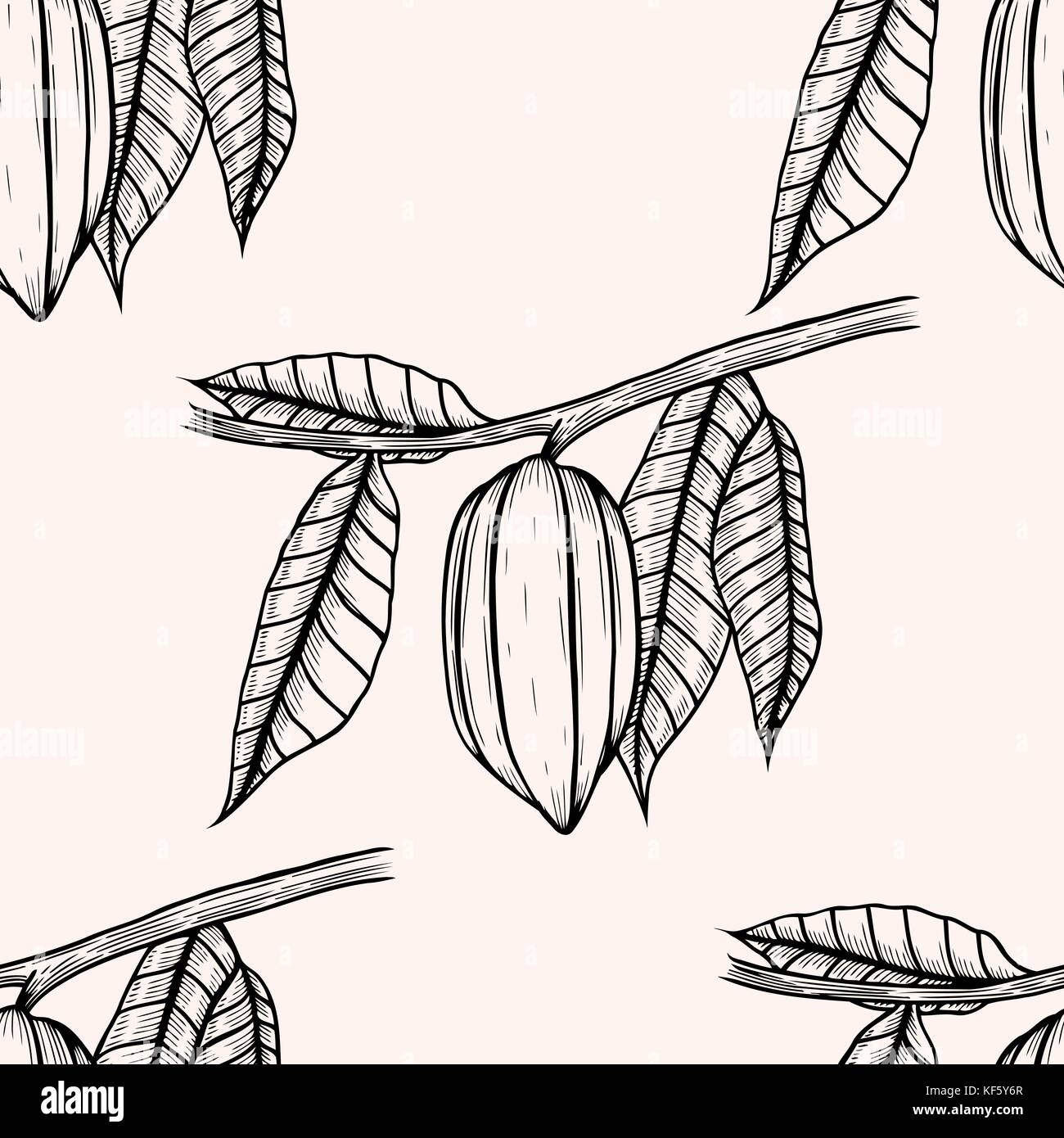 Seamless pattern with leaves and fruits of cocoa beans. Vintage black vector hand drawn engraving illustration. Isolated on white background. Stock Vector