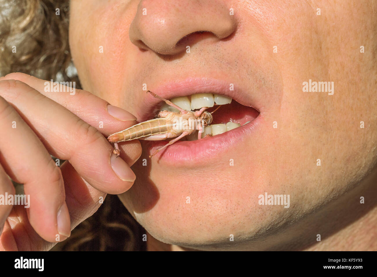 people eating bug Stock Photo
