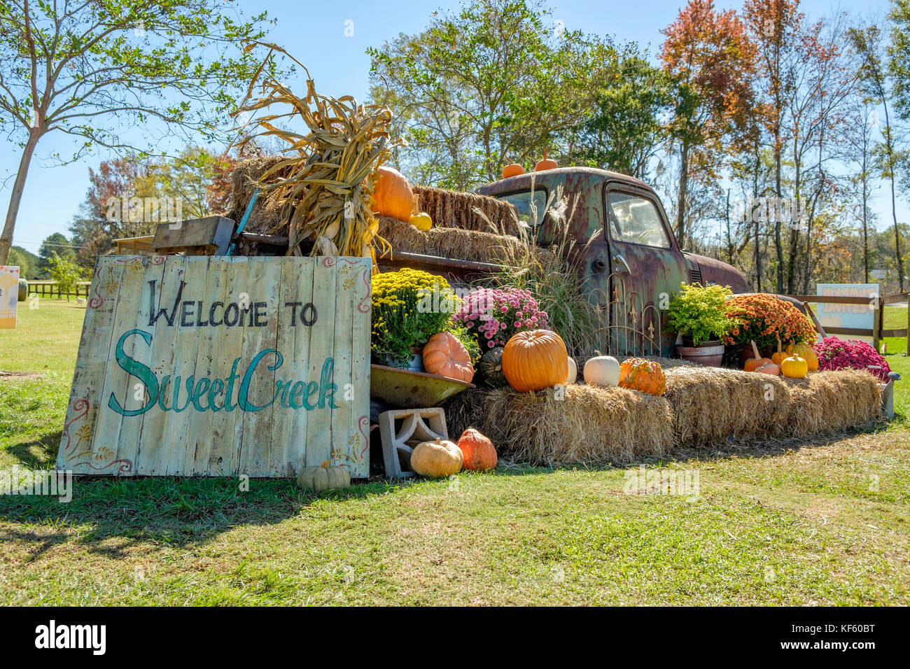 Fall or autumn display of pumpkins, gourds and flowers for the Halloween and Thanksgiving holidays at Sweet Creek Market, Pike Road Alabama, USA. Stock Photo