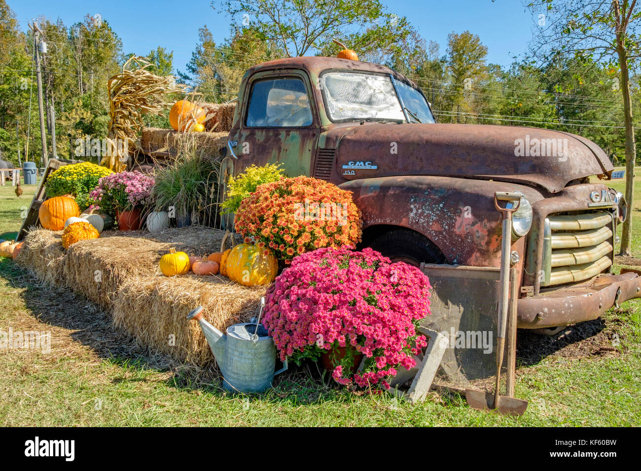 Fall or autumn display of pumpkins, gourds and flowers for the Halloween and Thanksgiving holidays at Sweet Creek Market, Pike Road Alabama, USA. Stock Photo