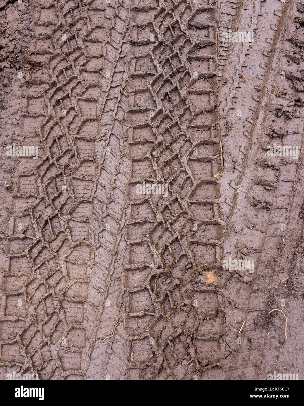Tire tracks in the mud Stock Photo Alamy