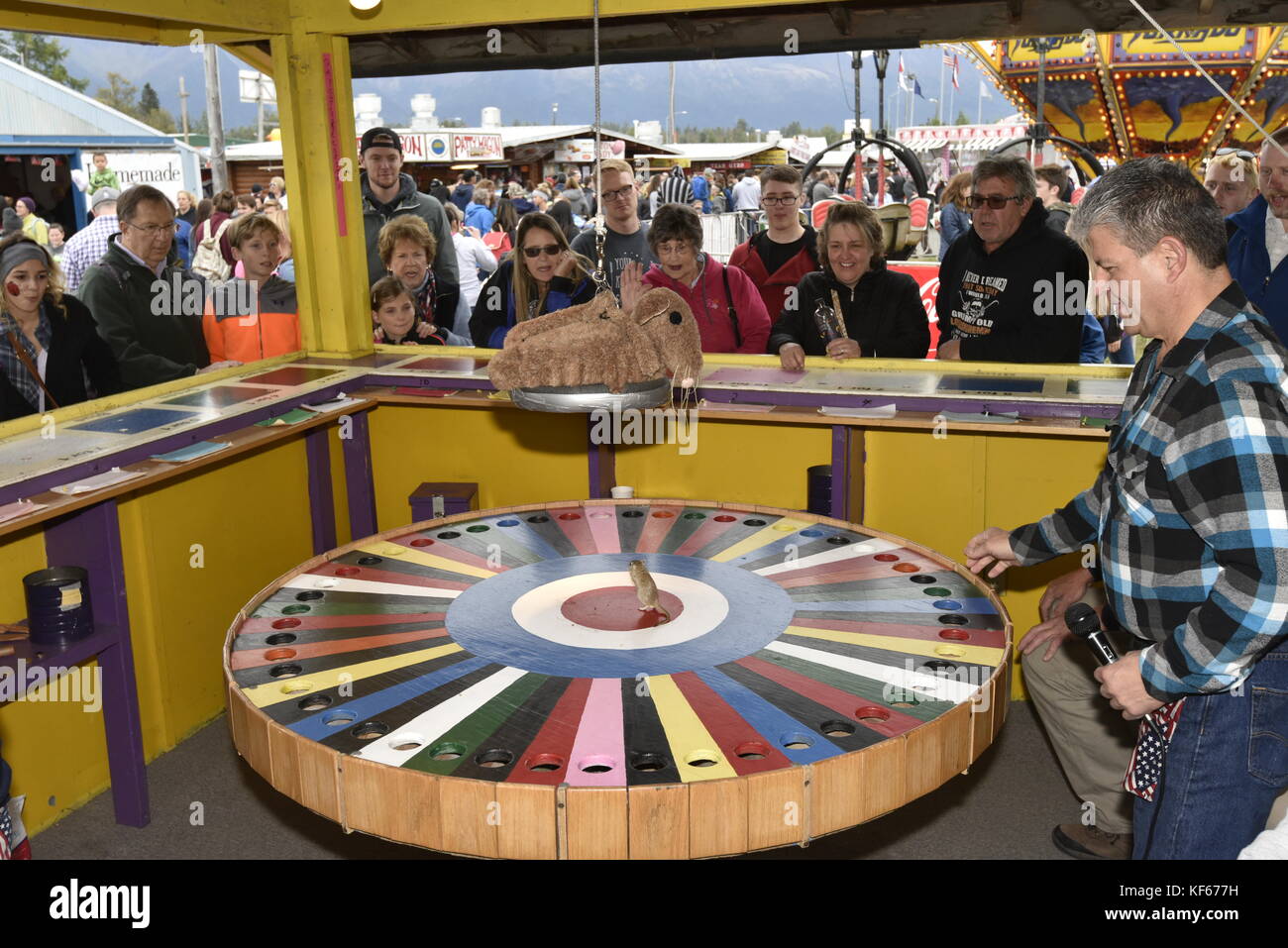 Alaska State Fair, Palmer, Alaska, USA, gambling, game, games, skill