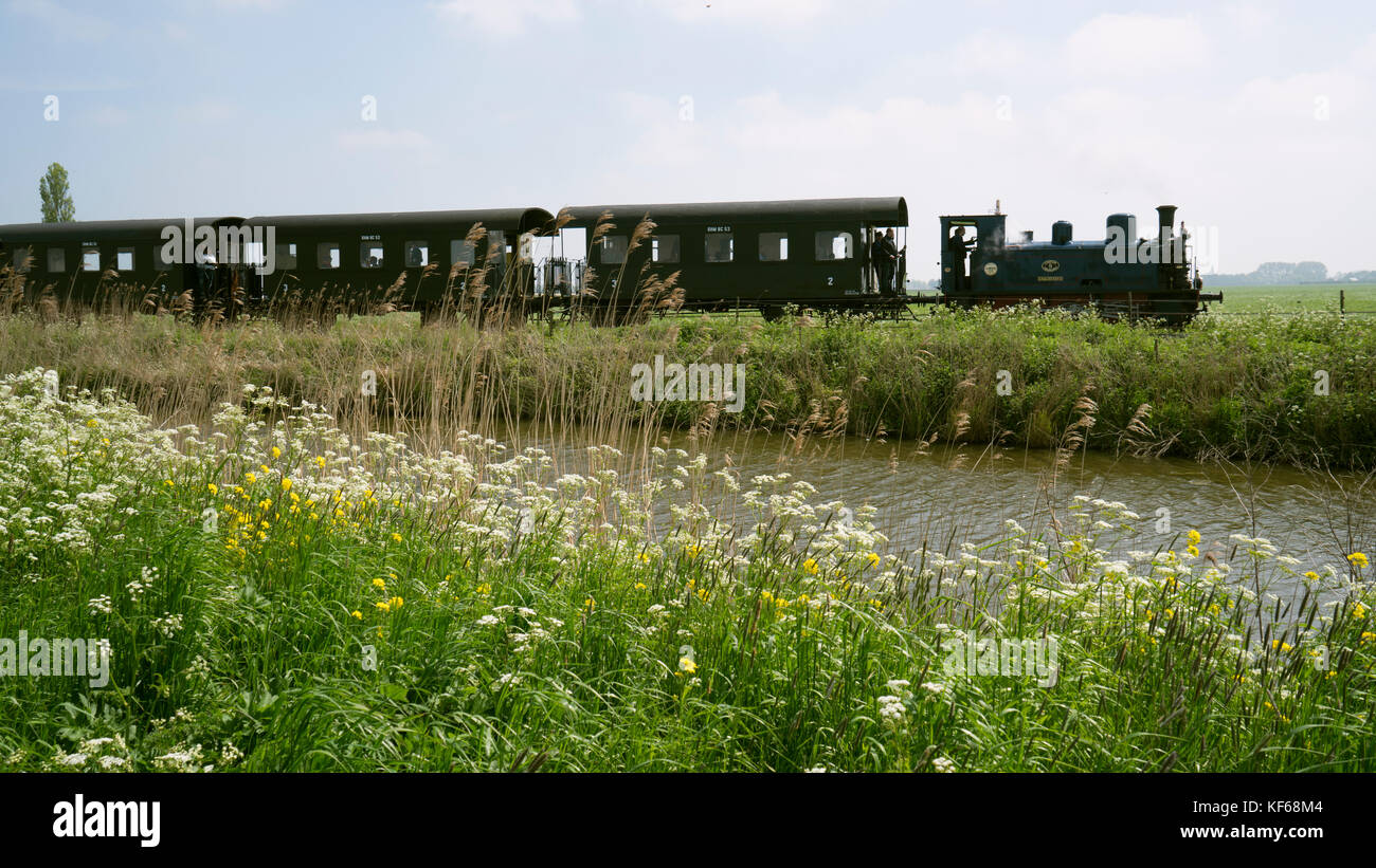 Flower Fields nearby Lisse & Amsterdam, The Netherlands Stock Photo