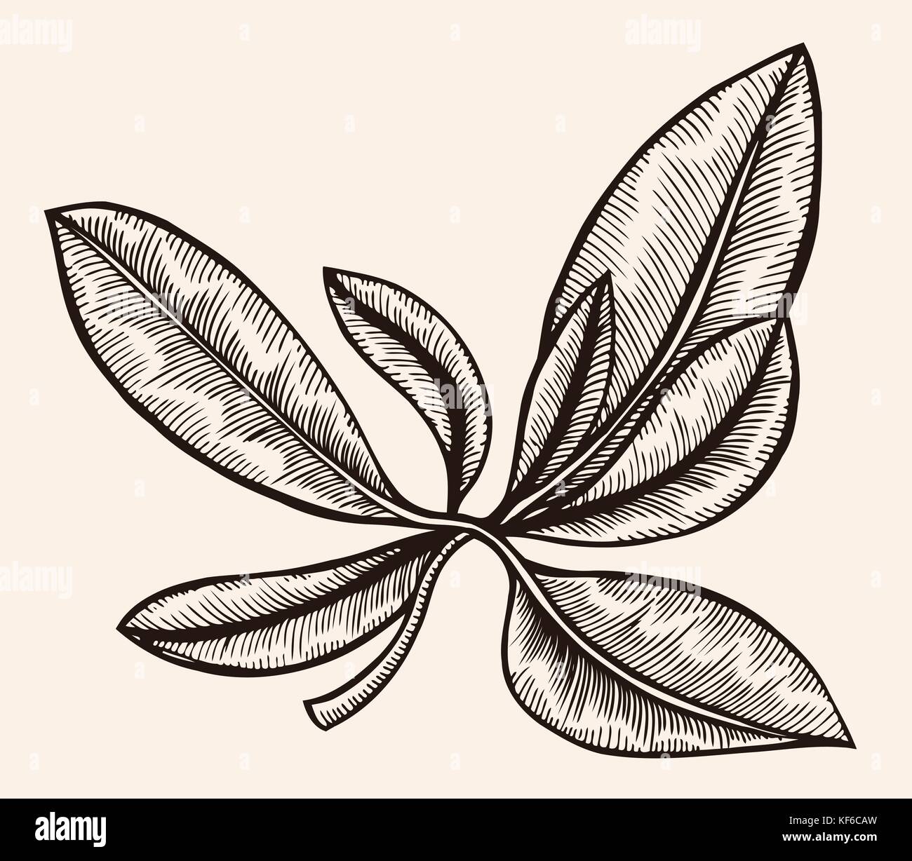 Scalable tree vector vectors hi-res stock photography and images - Alamy