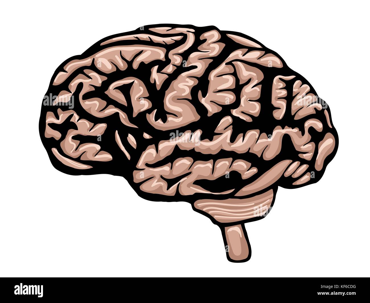 Cartoon Brain High Resolution Stock Photography and Images - Alamy