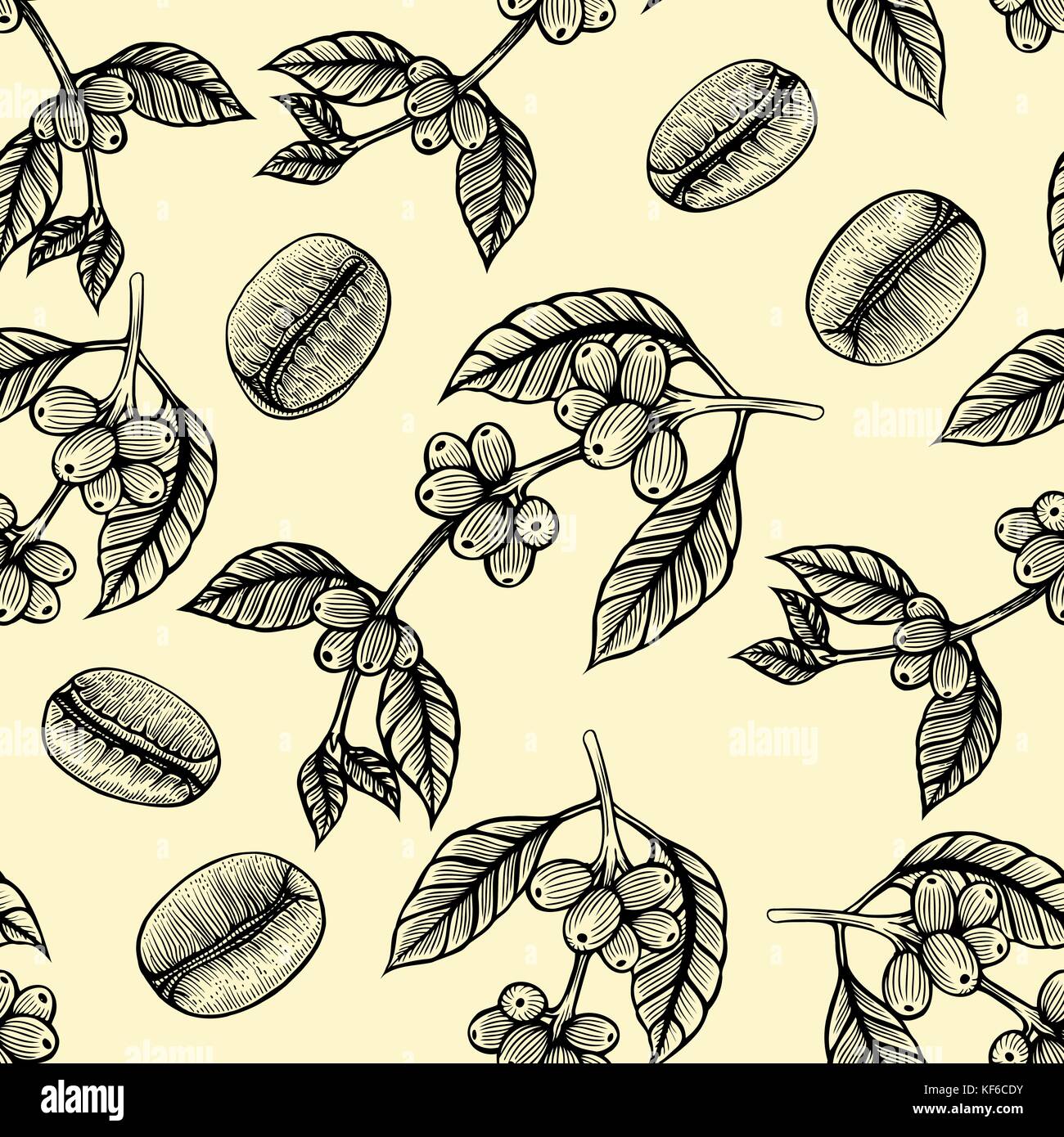 Seamless coffee background with branch of coffee and coffee beans. Hand ...