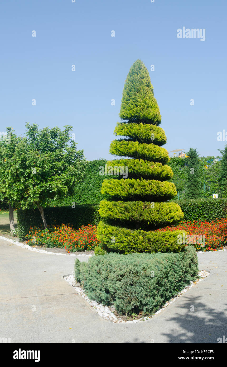 Topiary trees in Sun Tropical resort Serigerme Turkey Stock Photo Alamy