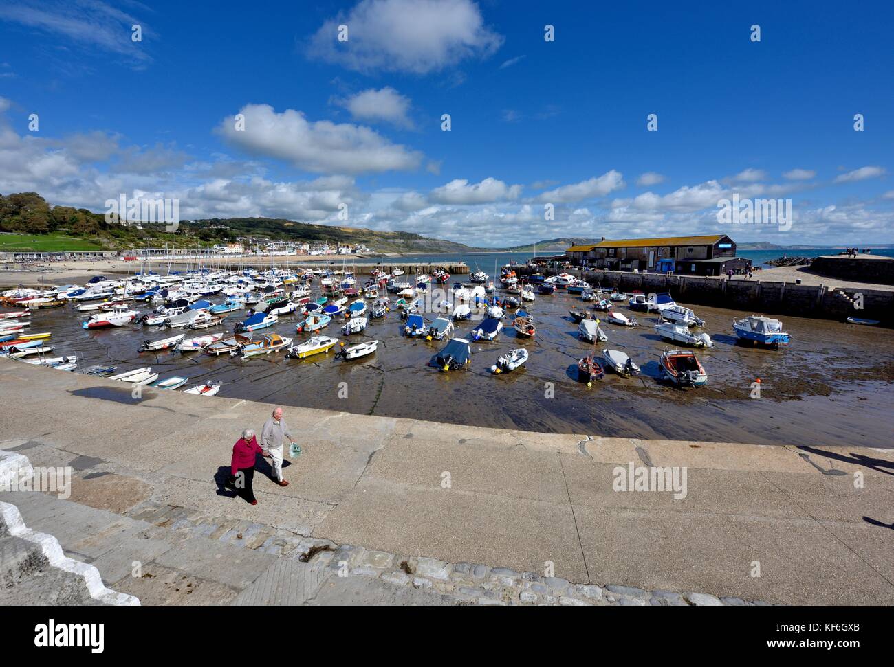 Lyme Regis Harbour Dorset England UK Stock Photo