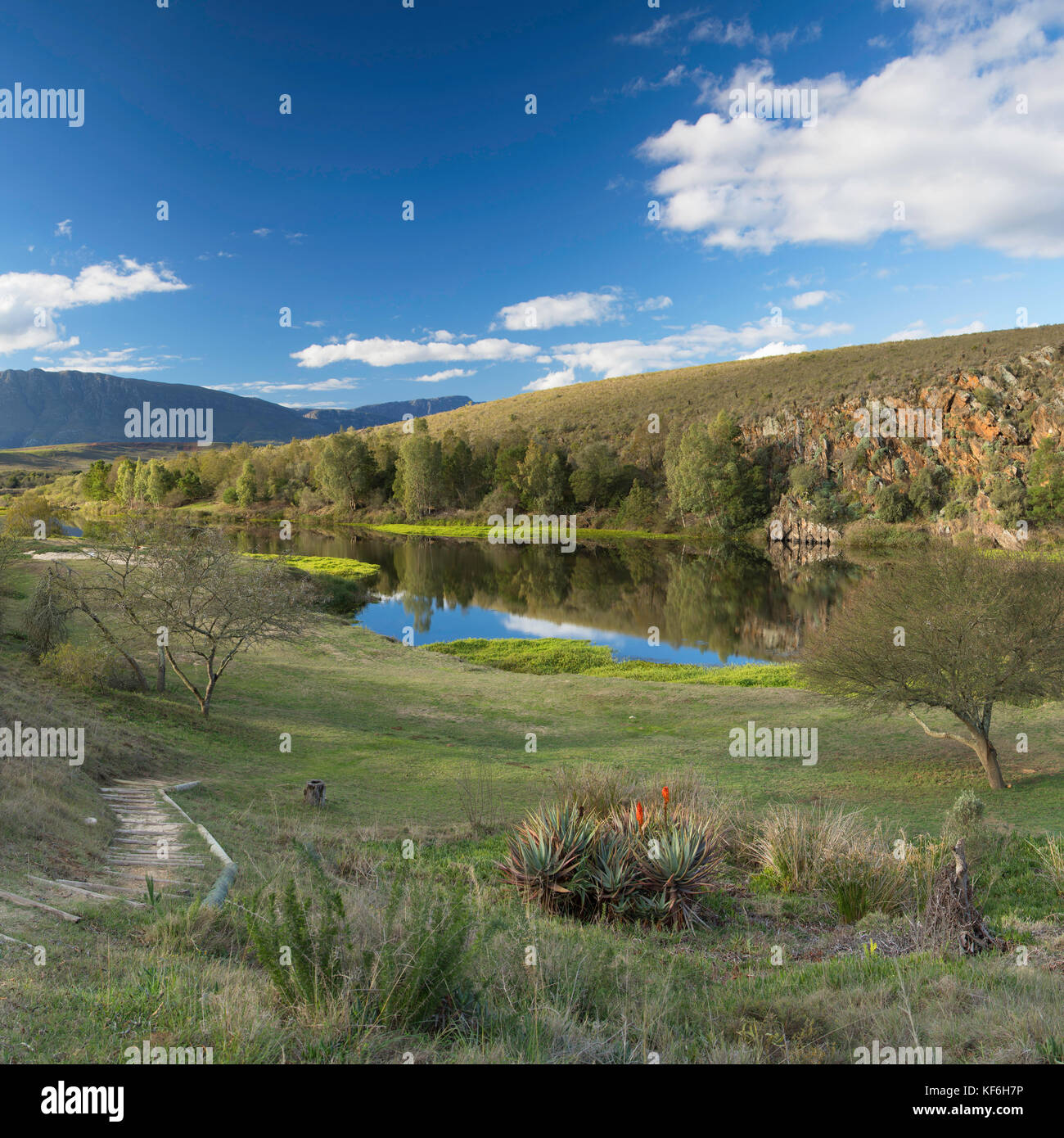 bontebok national park western cape