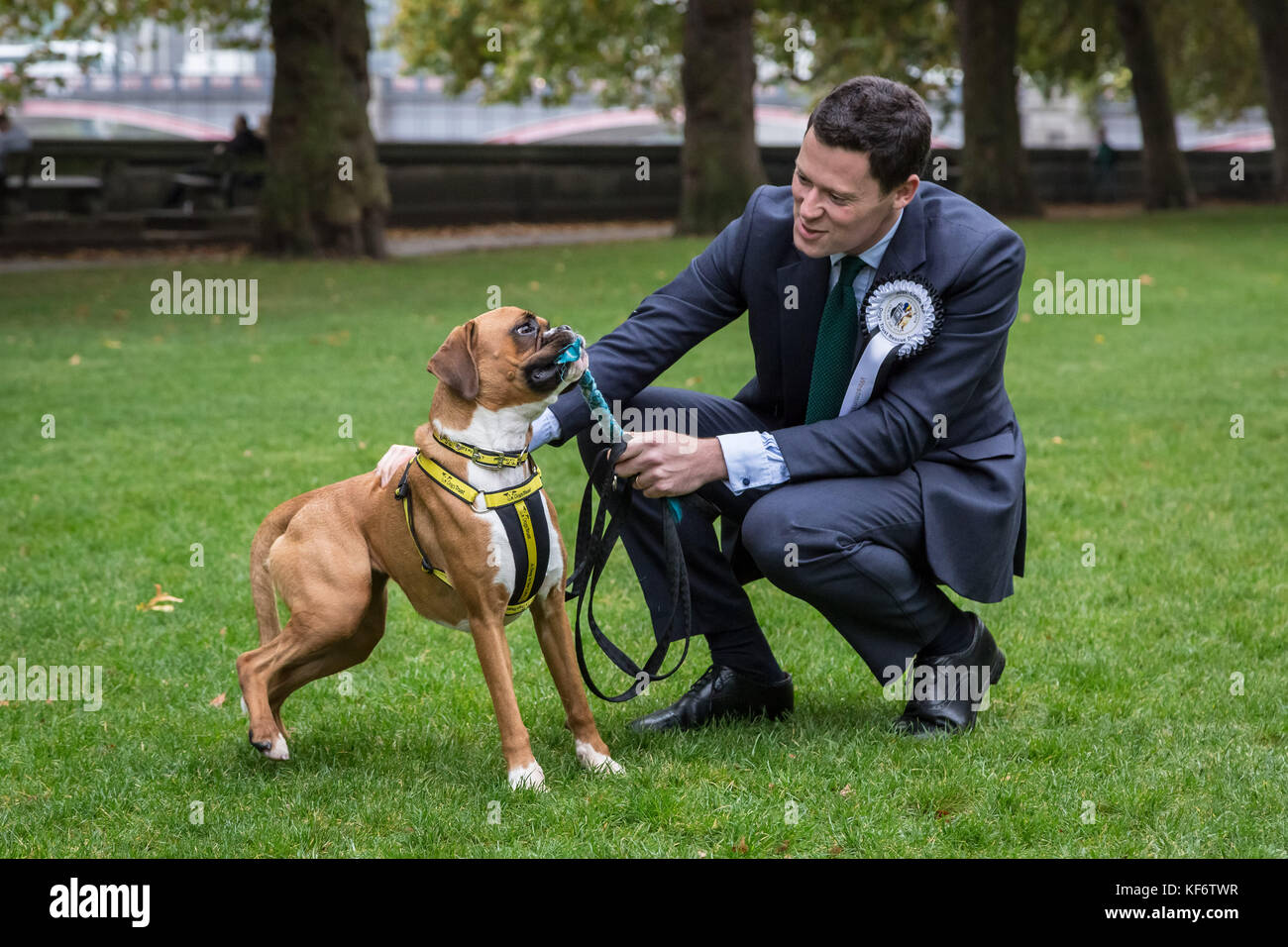 Alex chalk hi-res stock photography and images - Alamy