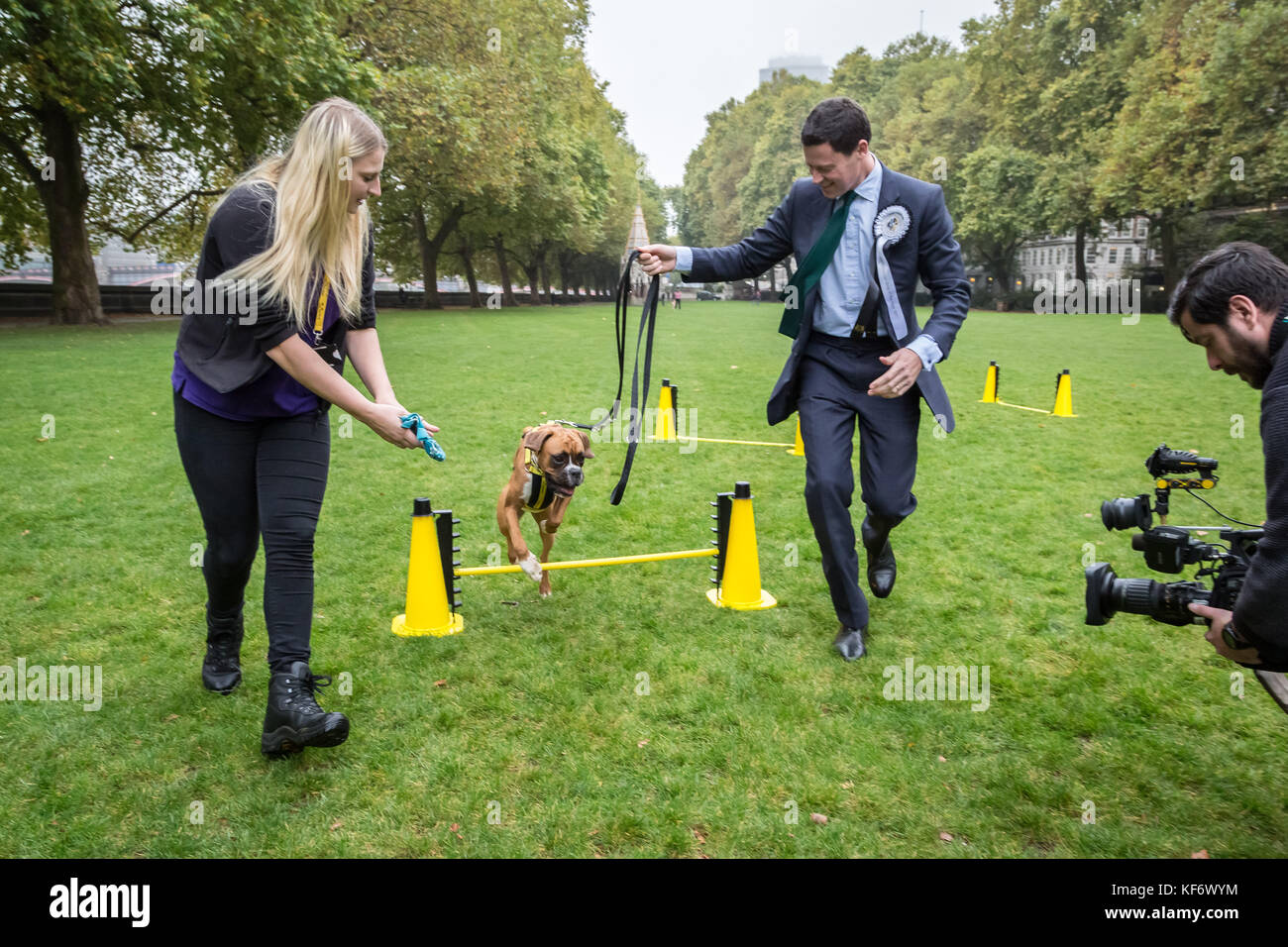 Alex chalk hi-res stock photography and images - Alamy