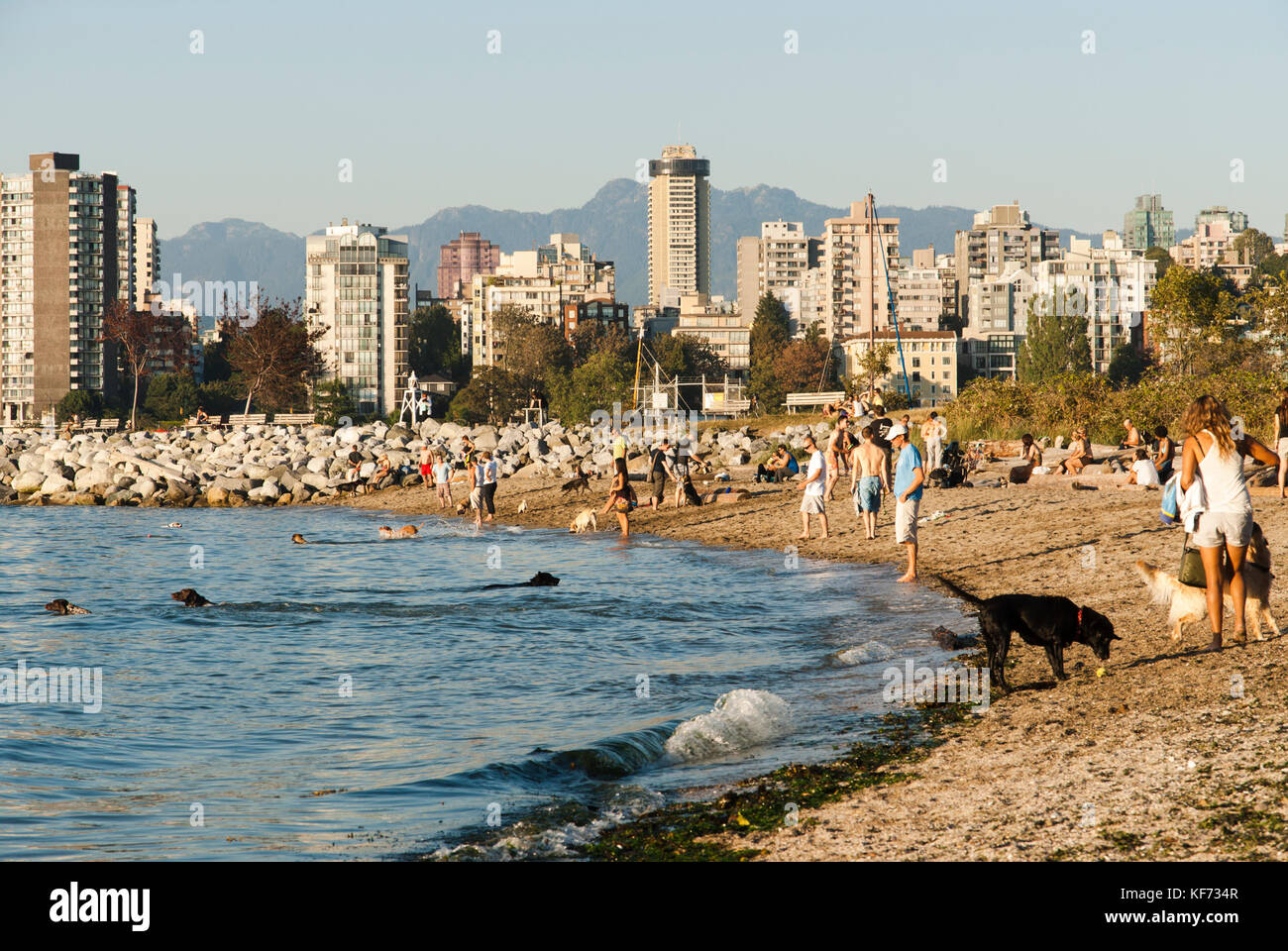 Are Dogs Allowed At Kits Beach