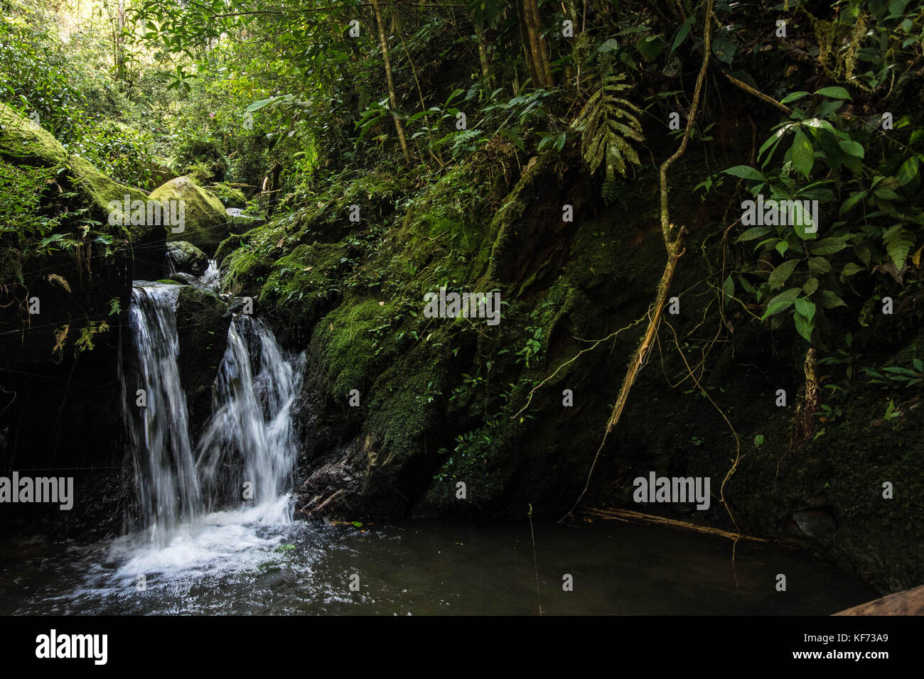 A idyllic waterfall from high up in the national park on Mt. Kinabalu. Stock Photo