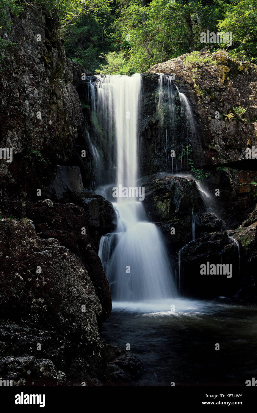 Gloucester Falls, on the Gloucester River. Barrington Tops National