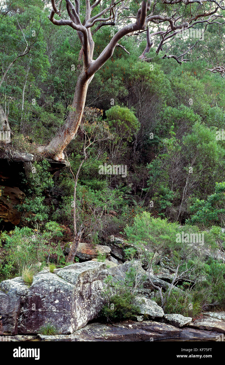 Sydney sandstone hi-res stock photography and images - Alamy