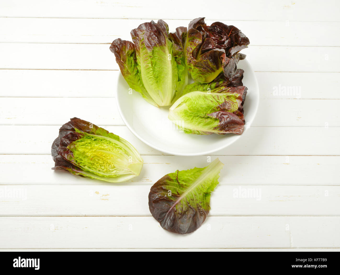 heads of fresh lettuce in white bowl Stock Photo Alamy