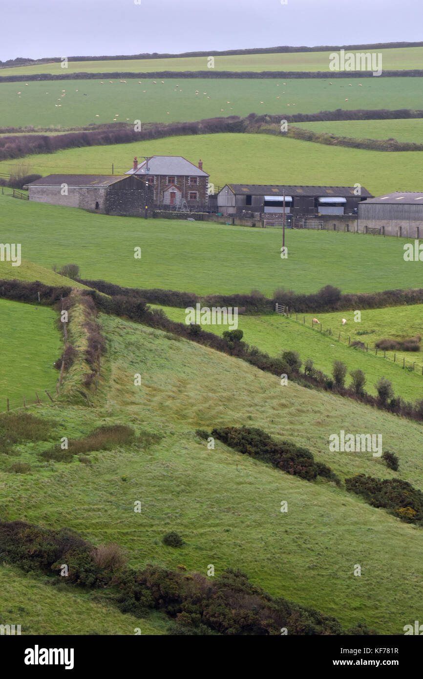 Rolling cornish countryside hi-res stock photography and images - Alamy